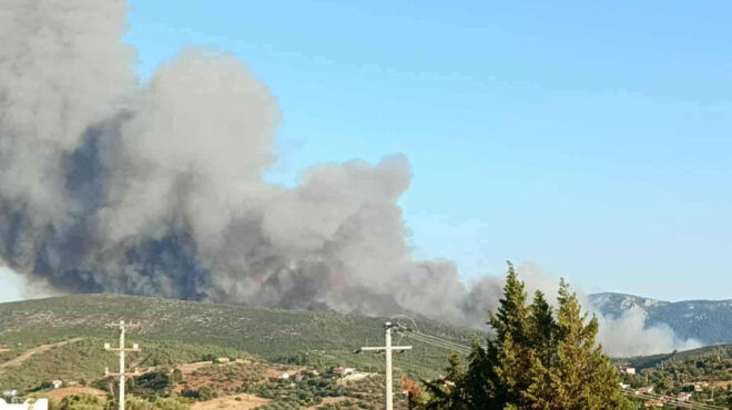 τα-πρόστιμα-και-οι-ποινές-φυλάκισης-γι-563754070