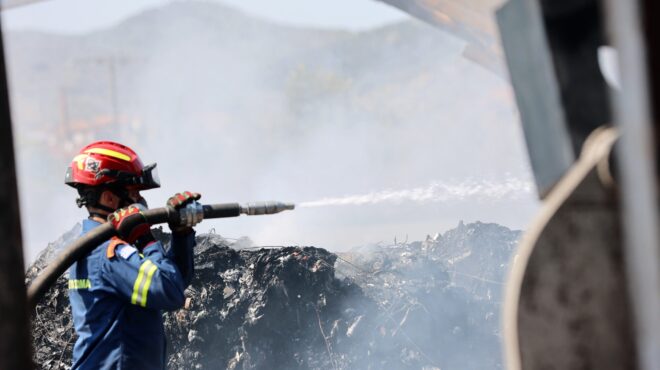 ημαθία-πυρκαγιά-σε-δασική-έκταση-κοντ-563748697