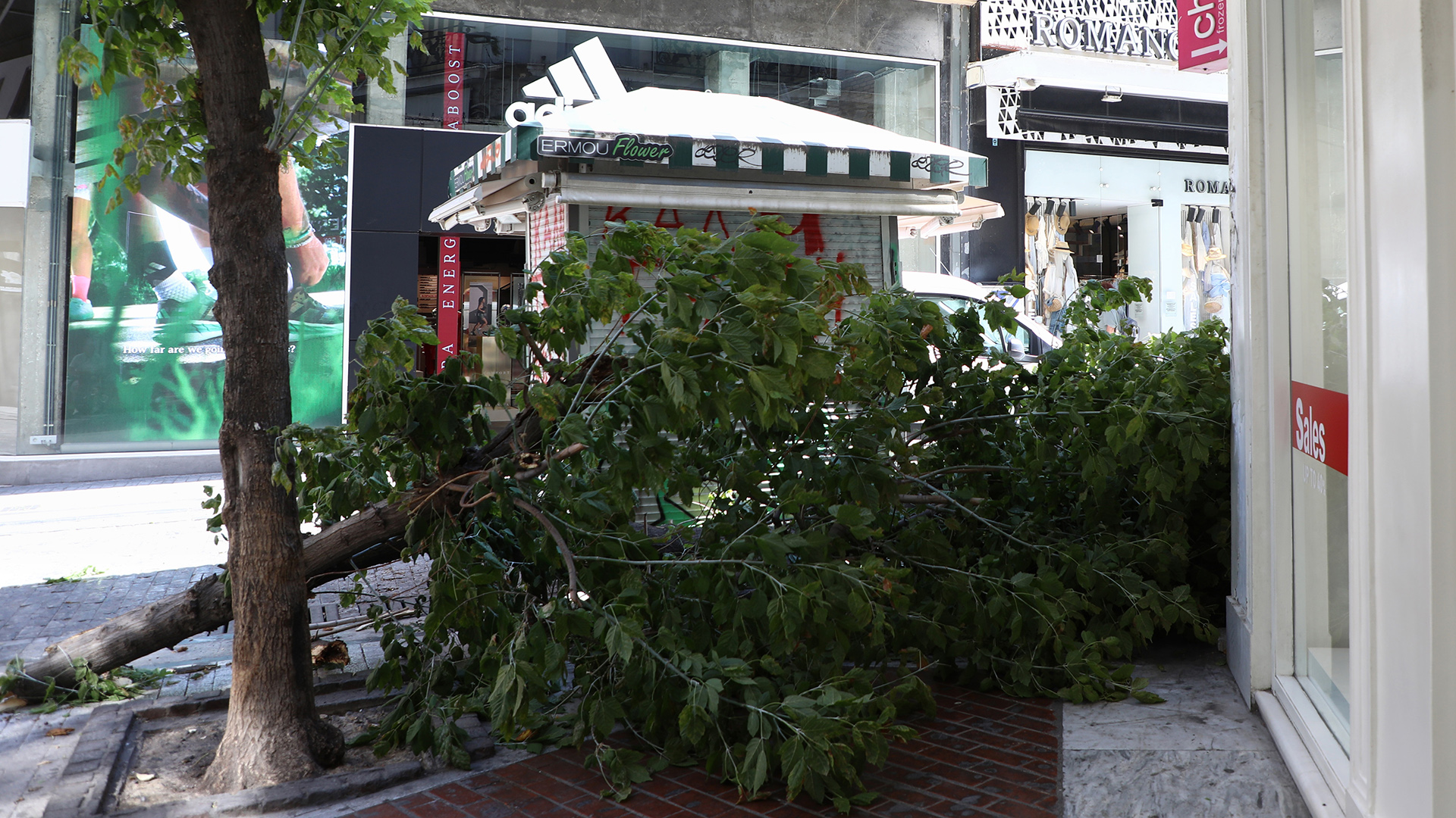 Κλειστός ο Εθνικός Κήπος λόγω των ισχυρών ανέμων-1