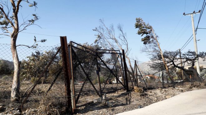 τι-κάηκε-από-τη-φωτιά-στην-κερατέα-δο-563758231