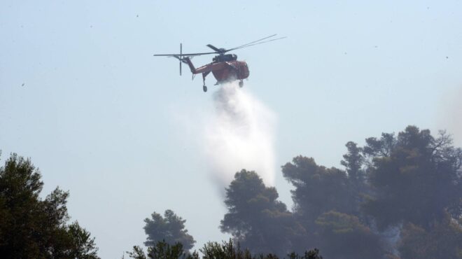 πυρκαγιά-στην-ηλεία-στάχτη-έγιναν-7-950-στ-563758273