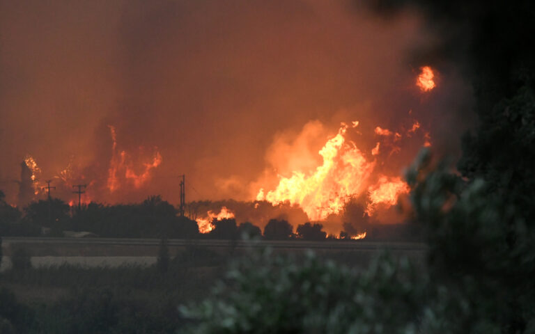 φωτιά-σε-αχαΐα-βόνιτσα-ζάκυνθο-αρτα-κ-563761078