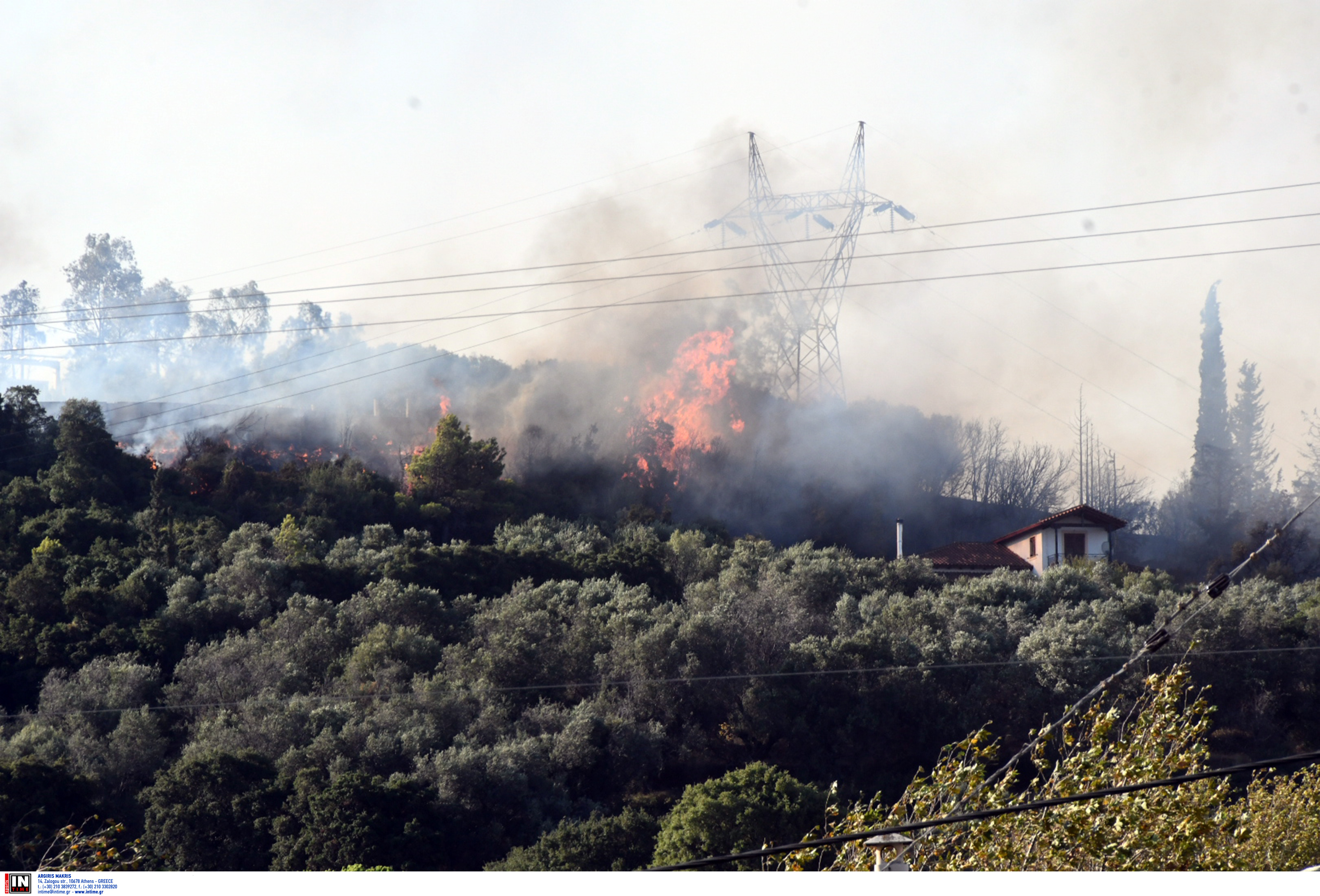 Πάτρα: Στον εισαγγελέα τρεις συλληφθέντες για εμπρησμούς στα Συχαινά και στο Γηροκομειό-3