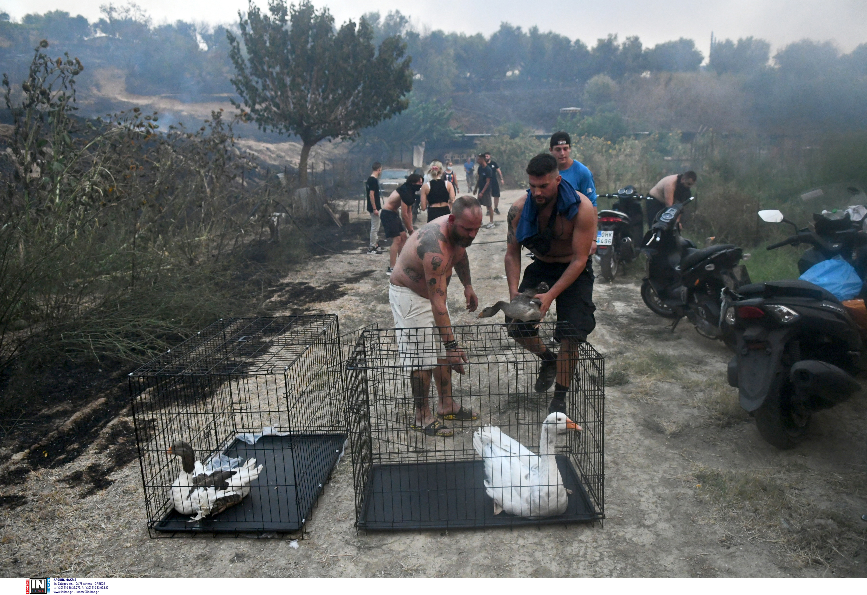 Φωτιά στην Πάτρα: Τρέχοντας με τα ζώα αγκαλιά – Συγκλονιστικές εικόνες-3