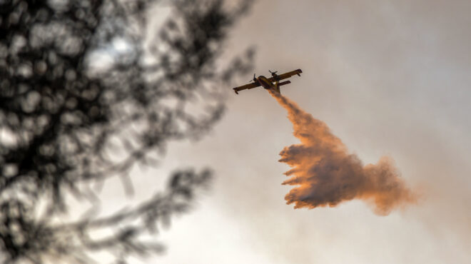 πάτρα-σύλληψη-άνδρα-για-εμπρησμό-στα-σ-563763817