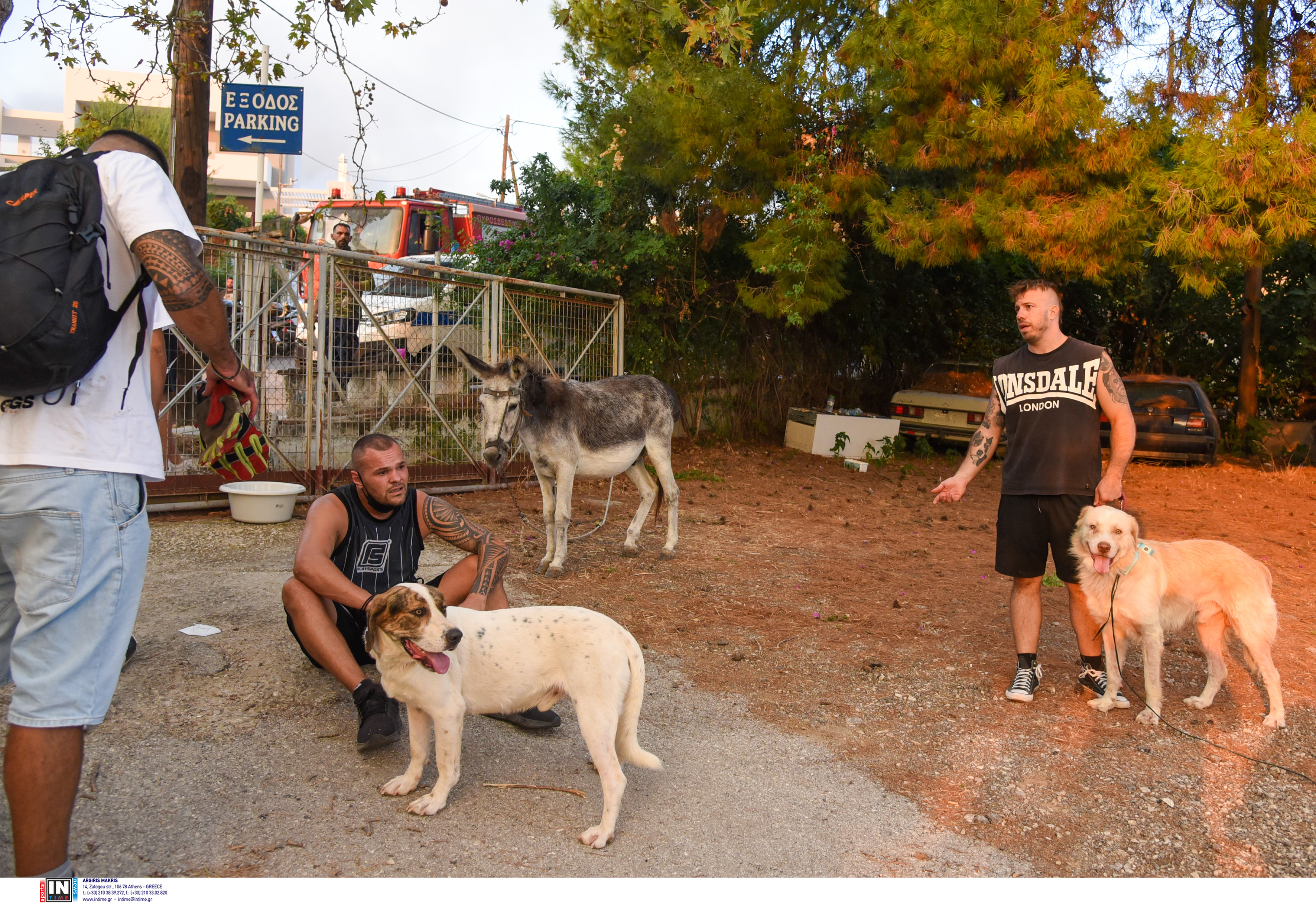 Φωτιά στην Πάτρα: Τρέχοντας με τα ζώα αγκαλιά – Συγκλονιστικές εικόνες-5
