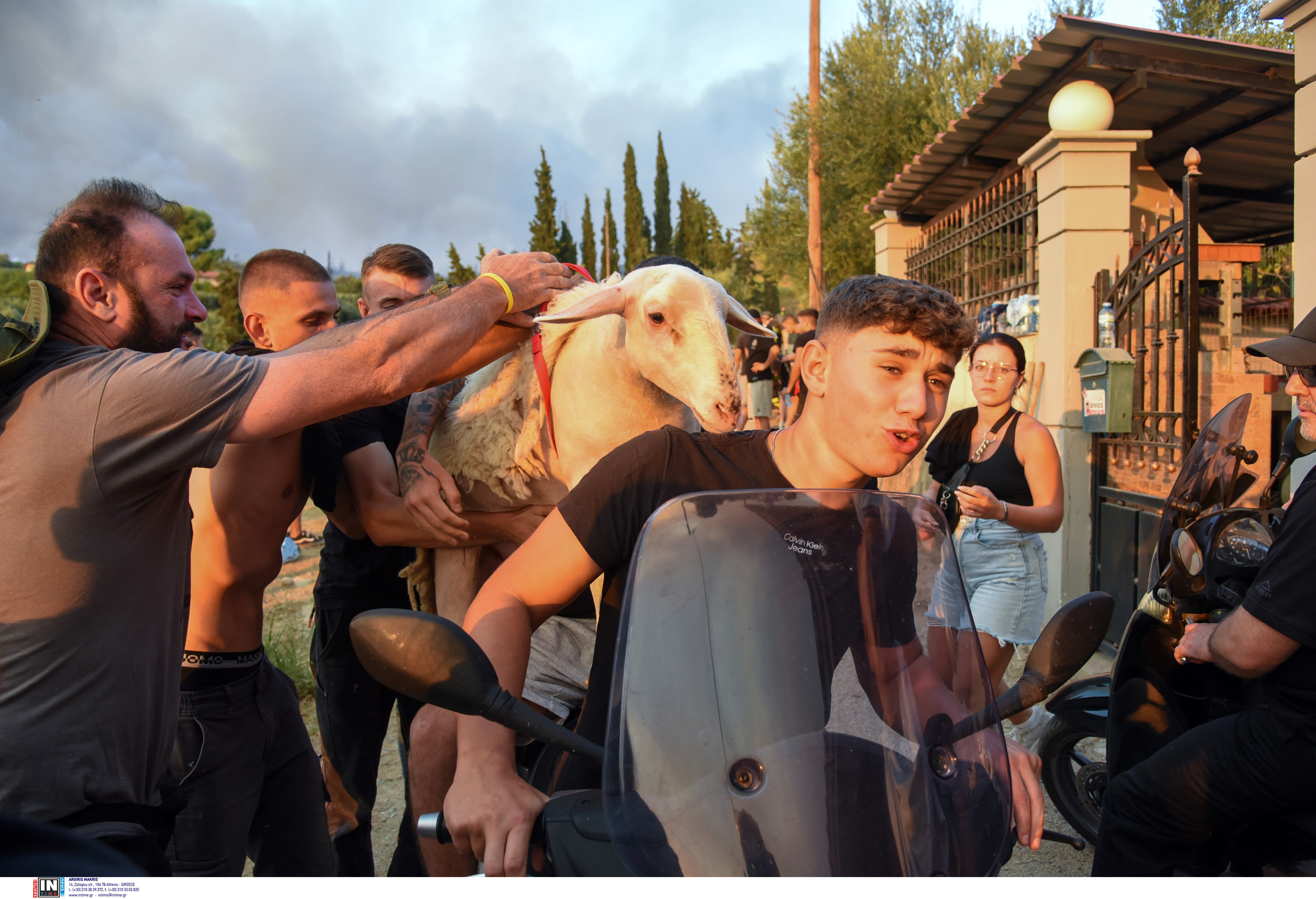 Φωτιά στην Πάτρα: Τρέχοντας με τα ζώα αγκαλιά – Συγκλονιστικές εικόνες-1