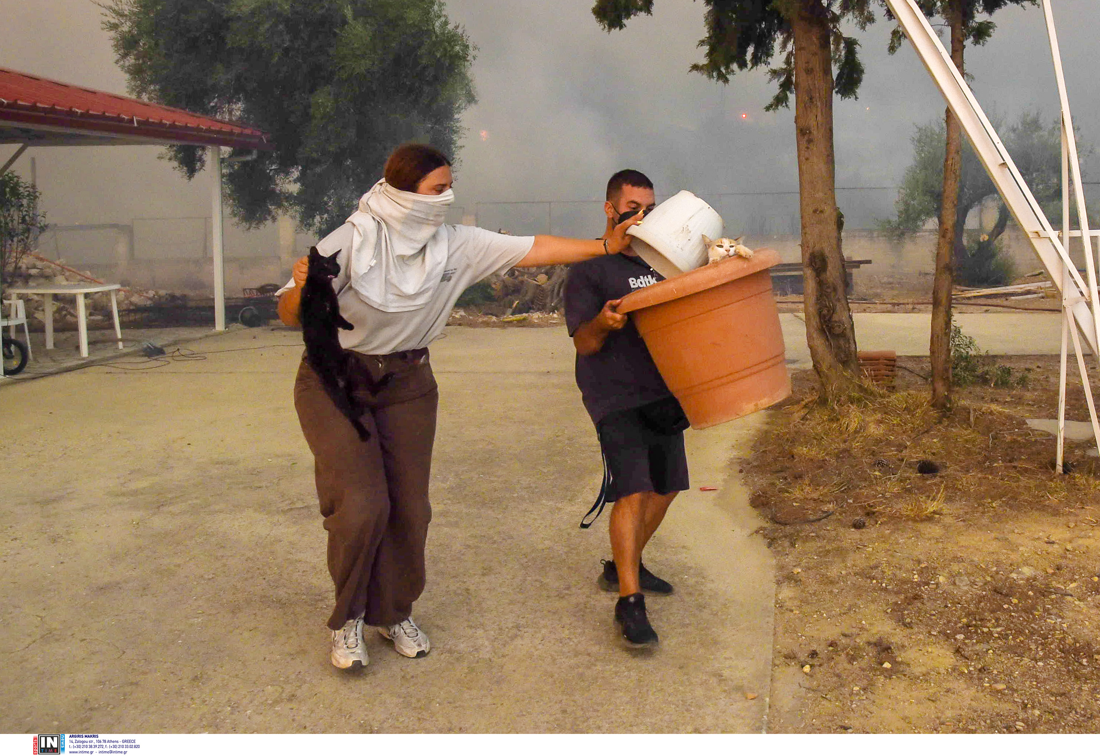 Φωτιά στην Πάτρα: Τρέχοντας με τα ζώα αγκαλιά – Συγκλονιστικές εικόνες-6