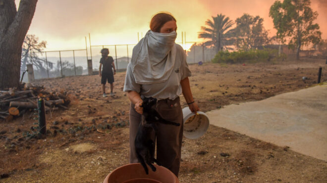 αυτοψία-στην-πάτρα-ηταν-σαν-να-έπεσε-βό-563764288
