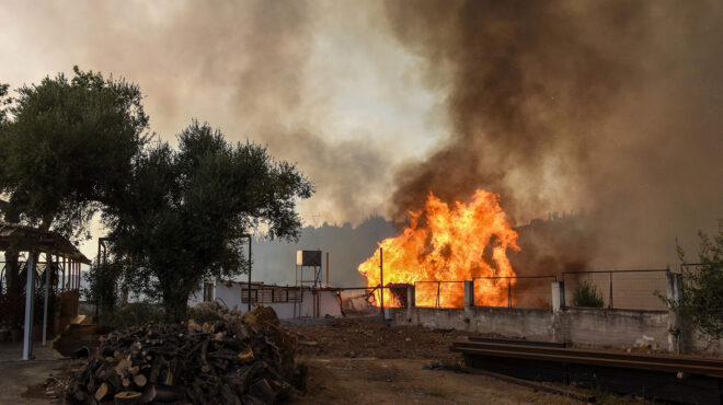 πυρκαγιές-ο-τραγικός-απολογισμός-σε-σ-563763709