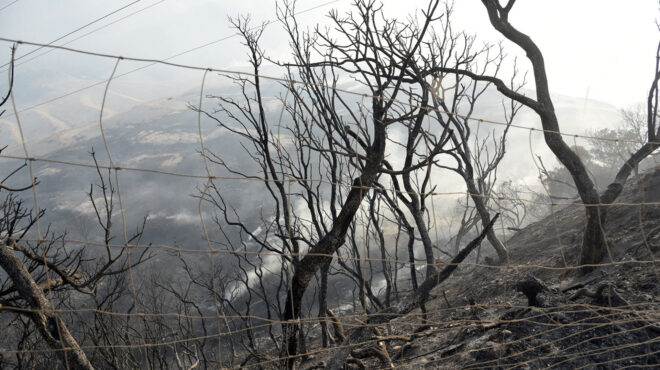πυρκαγιές-προτεραιότητα-η-καταγραφή-563764372