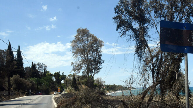 φωτιά-στην-πάτρα-δύο-προσαγωγές-για-τη-563764807