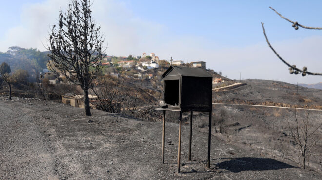 ορνιθολογική-εταιρεία-απαγόρευση-το-563773597