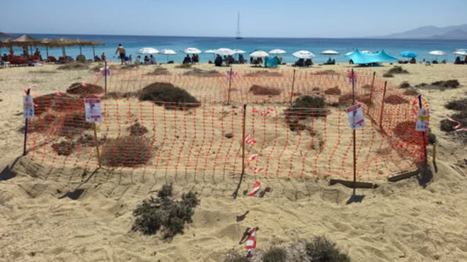 νάξος-το-μυστικό-της-παραλίας-του-αγ-563759464