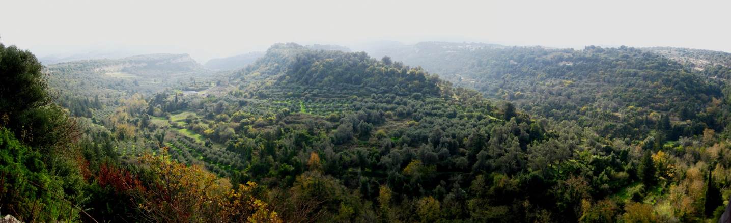 Σαράντα χρόνια ανασκαφής. Οι κάτοικοι της Ελεύθερνας τιμούν τον Νίκο Σταμπολίδη-2