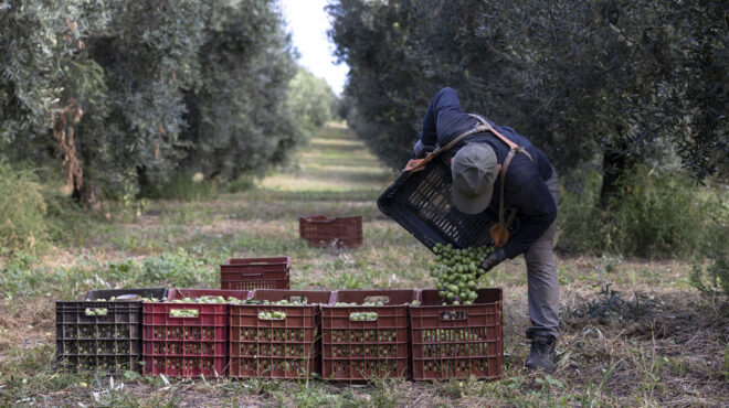 αναζητώντας-εργάτες-γης-από-την-αίγυπ-563748178