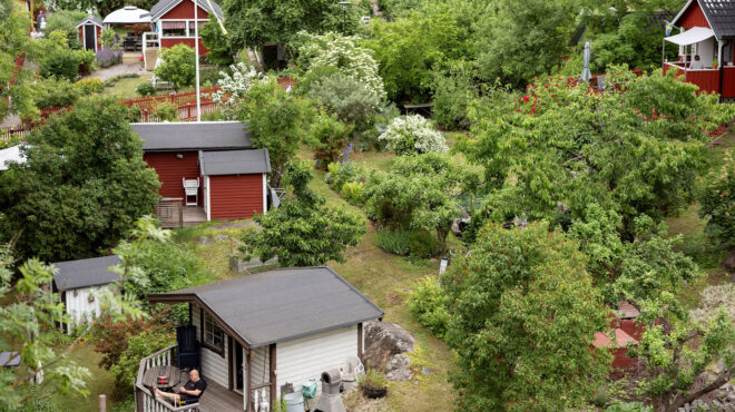 οι-μικροί-αστικοί-κήποι-το-μυστικό-της-563773792