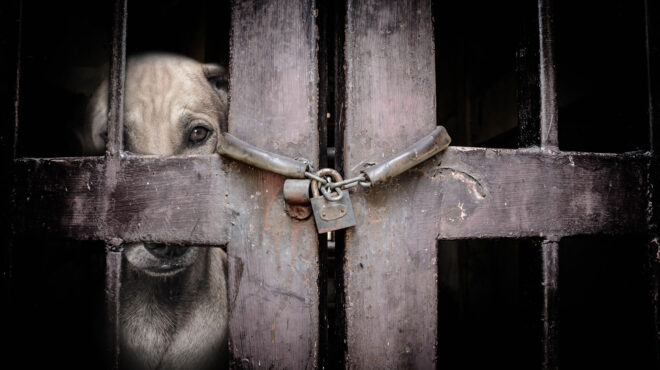 η-πολιτεία-αφοπλίζει-τους-κακοποιητέ-563782162