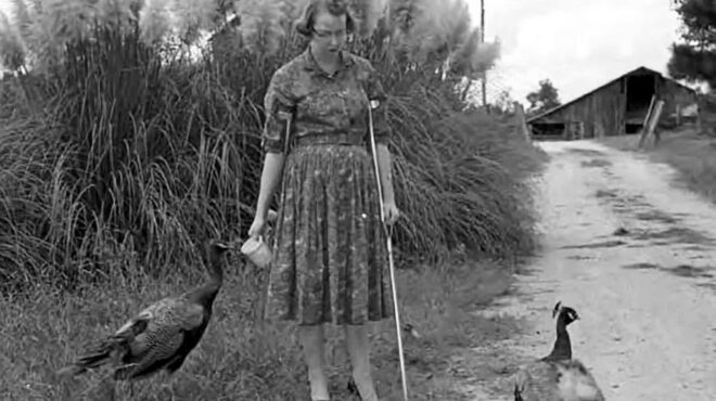 φλάνερι-ο-κόνορ-σπάνιο-να-τύχει-τέτο-563775379