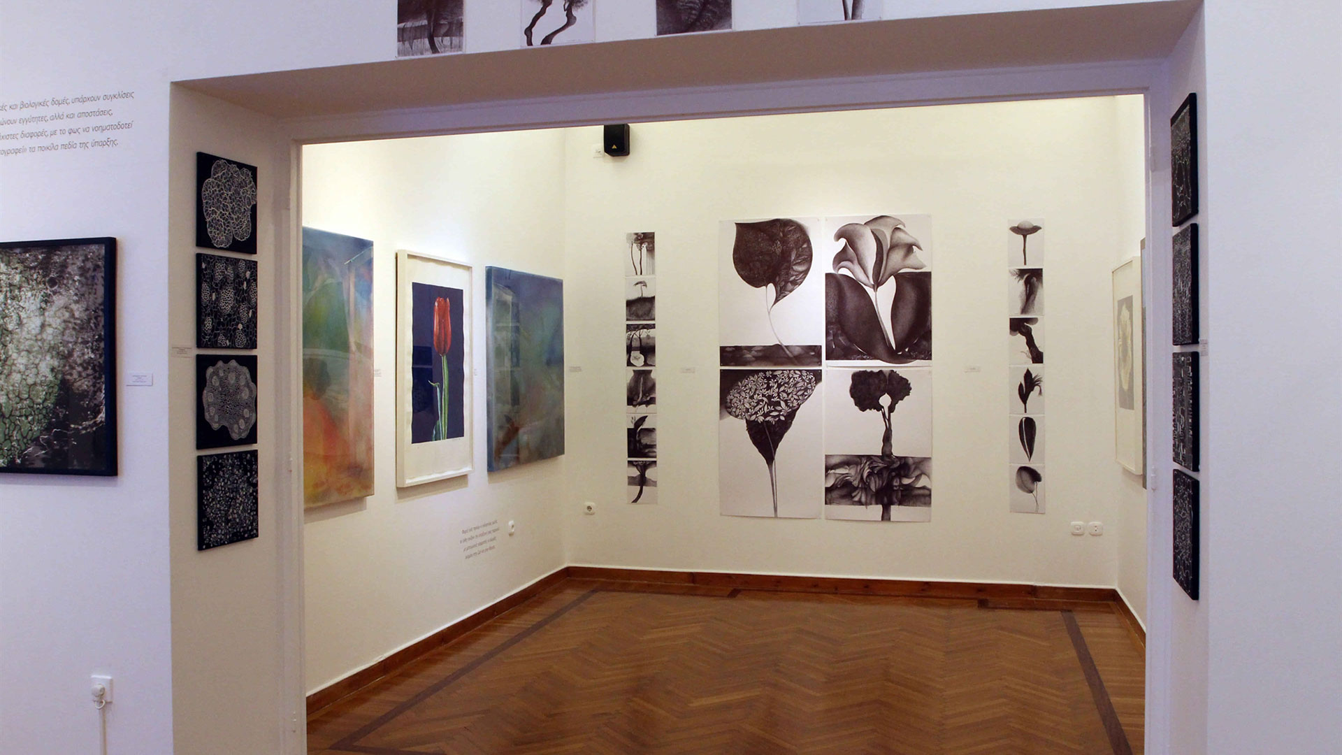 Οι 31οι Πλόες στην Ανδρο: φως εκ φωτός στην εποχή της τεχνητής νοημοσύνης-2