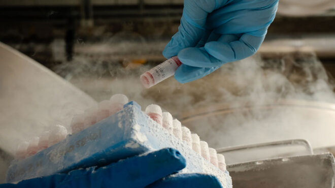 στον-αέρα-143-εκατ-για-την-έρευνα-563767312