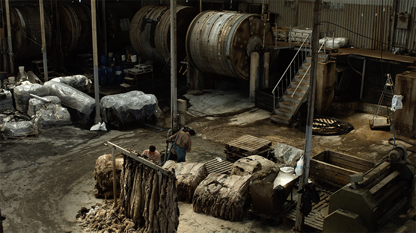 Γκρο πλαν στο Καστελλόριζο-5