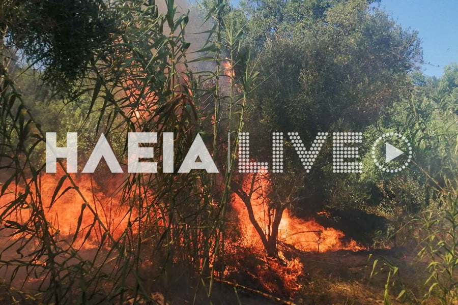 Φωτιά στην Ηλεία: Πυρκαγιά σε χαμηλή βλάστηση, ήχησε το 112-2