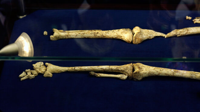 στην-αιθιοπία-νέος-αυστραλοπίθηκος-265-563767087