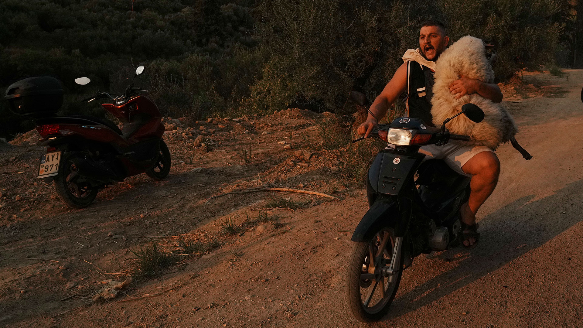 Φωτιά στην Πάτρα: Σκηνές αποκάλυψης στα πύρινα μέτωπα-3