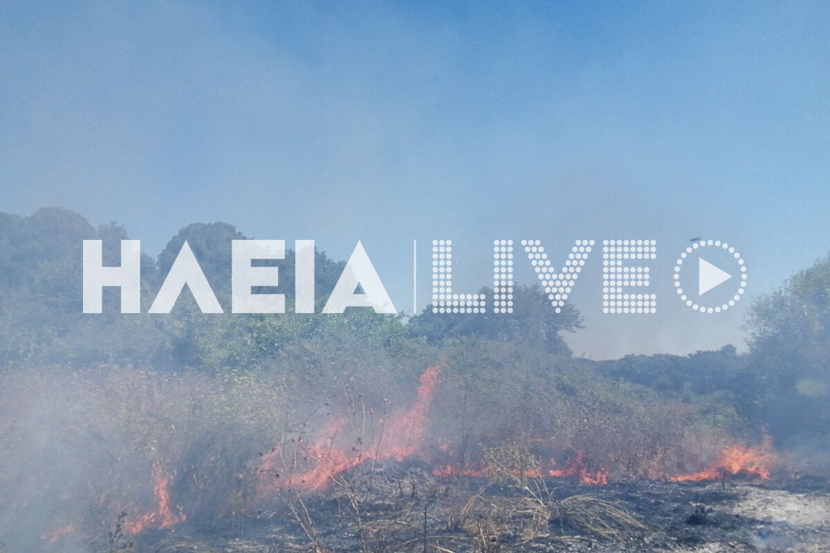 Φωτιά στην Ηλεία: Πυρκαγιά σε χαμηλή βλάστηση, ήχησε το 112-1