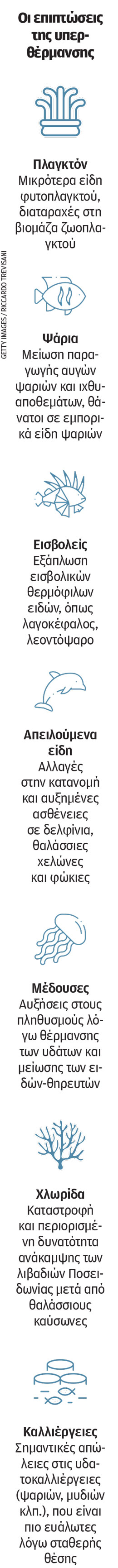 Η ζέστη αλλάζει ήδη τις θάλασσες της Ελλάδας-2