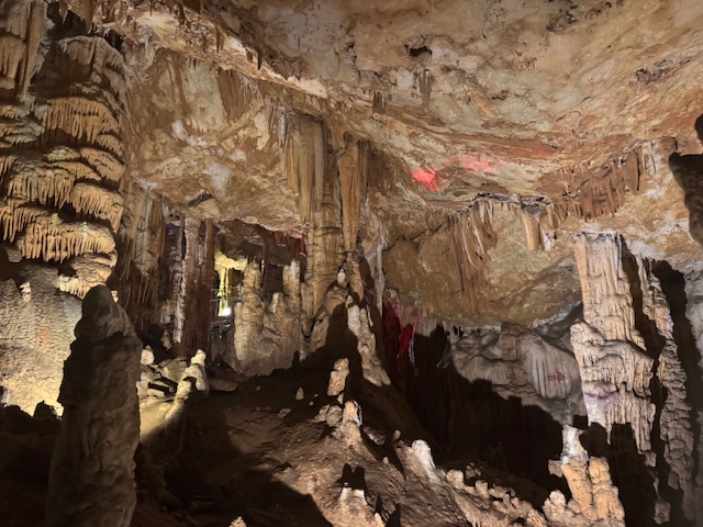 Η «μεγαλύτερη γραβιέρα του κόσμου» ωριμάζει στα Ζωνιανά-3