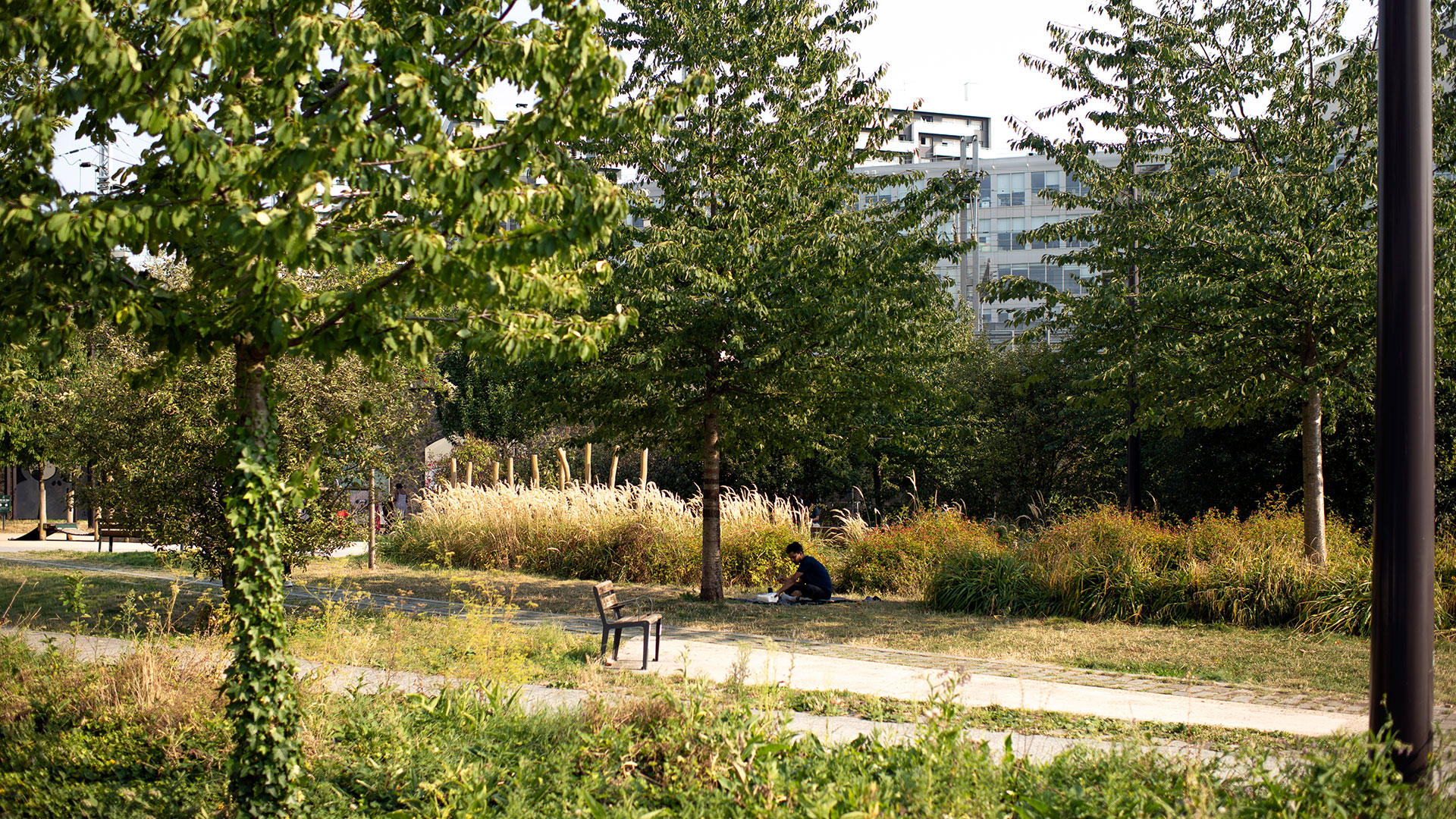 Παρίσι στους 50°C: Τι κάνει για τους καύσωνες που το παραλύουν;-1