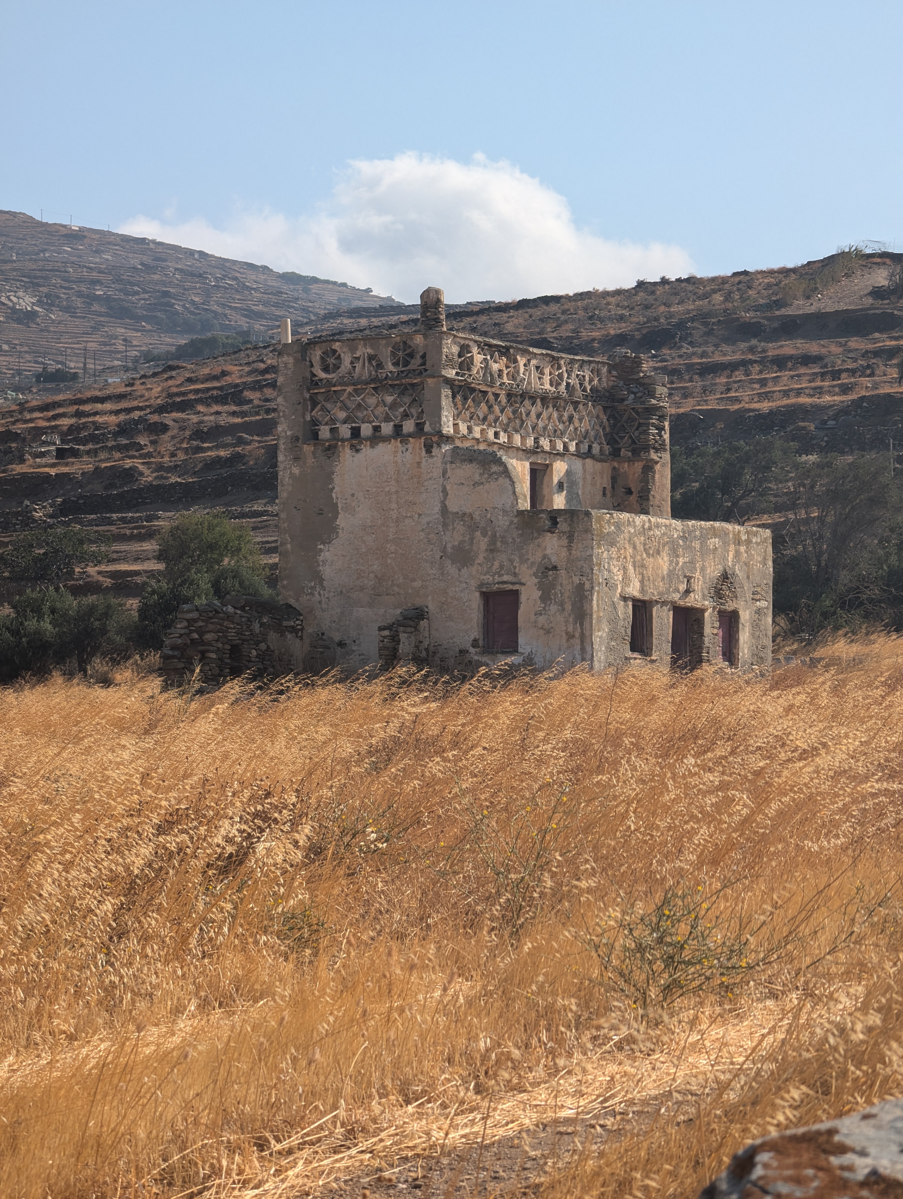 Τήνος: «Δίνουμε δεύτερη ζωή στους περιστεριώνες»-4