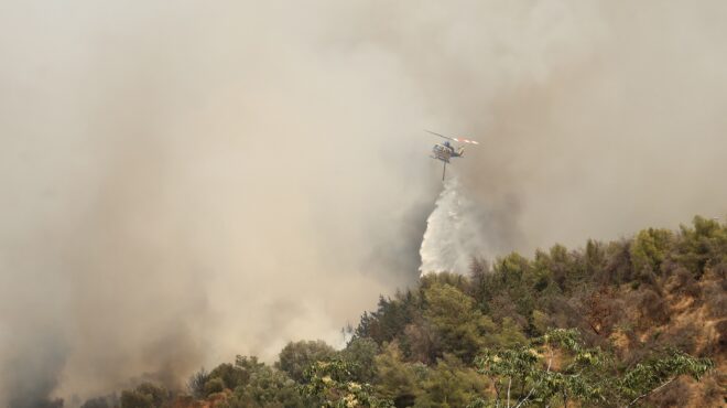 θεσπρωτία-φωτιά-σε-δασική-έκταση-στο-γ-563748574