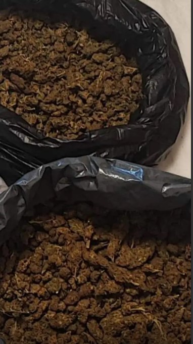 Χανιά: Δύο αστυνομικοί τραυματίες σε επιχείρηση της ΕΛ.ΑΣ – Εντοπίστηκαν 7 κιλά κάνναβης-2