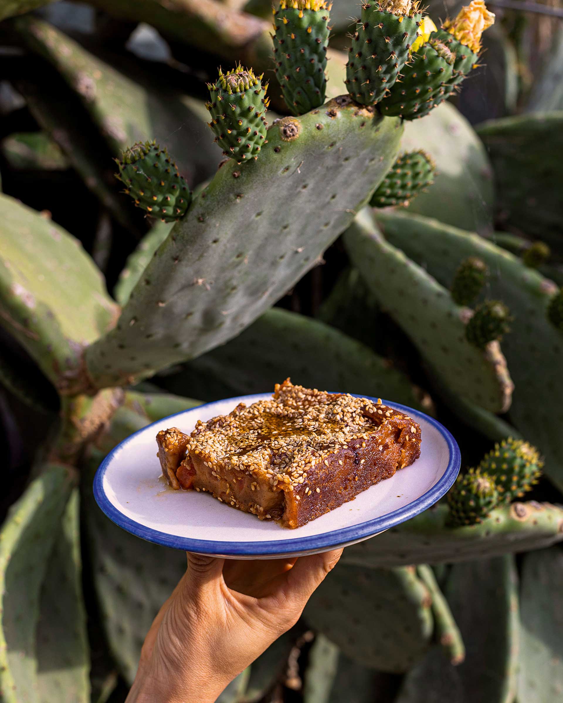Φαγητά-σουβενίρ από τις διακοπές μας στα νησιά-4