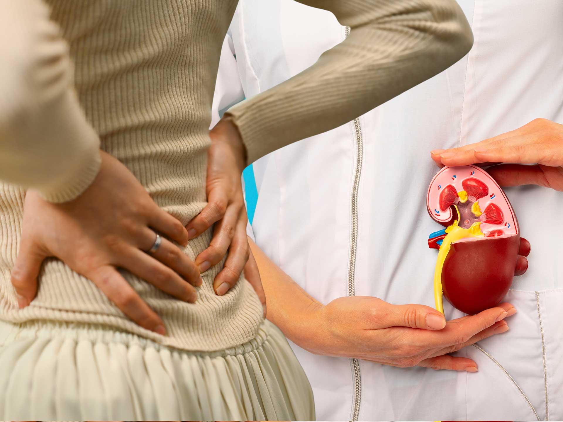 Πέτρες στους νεφρούς: Από την οδύνη στη δράση-2