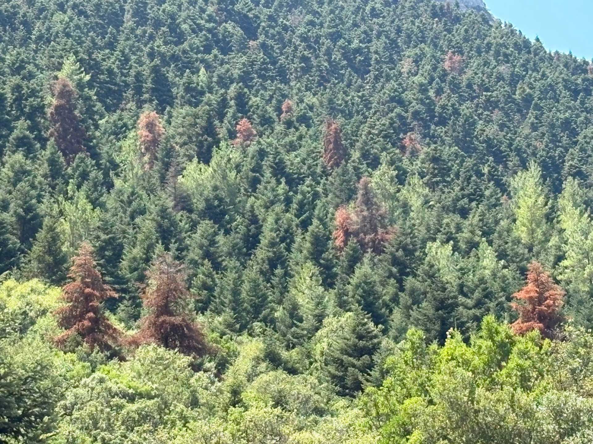 Διαβάστε στην «Καθημερινή της Κυριακής»-4