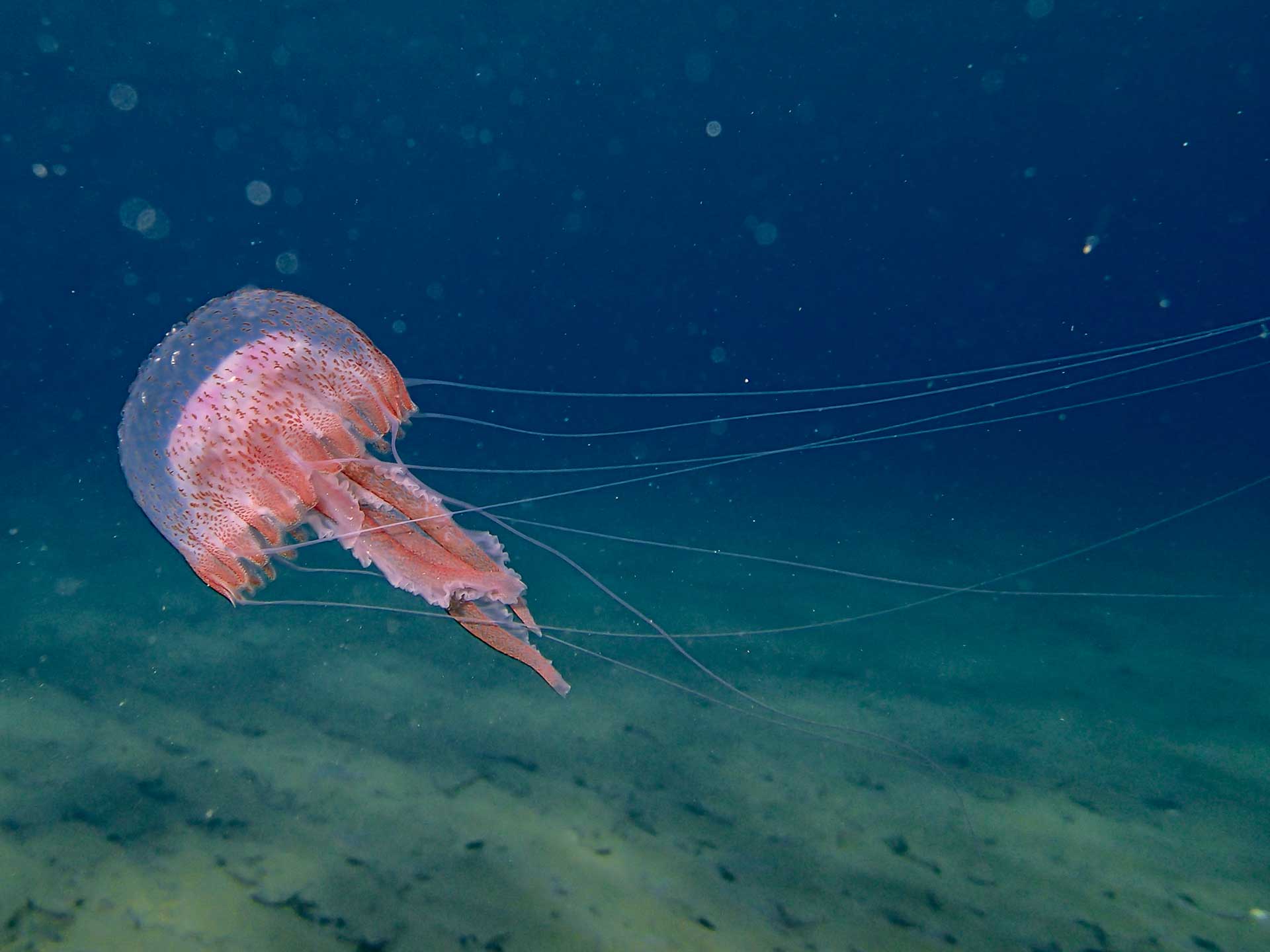 Διαβάστε στην «Καθημερινή της Κυριακής»-6