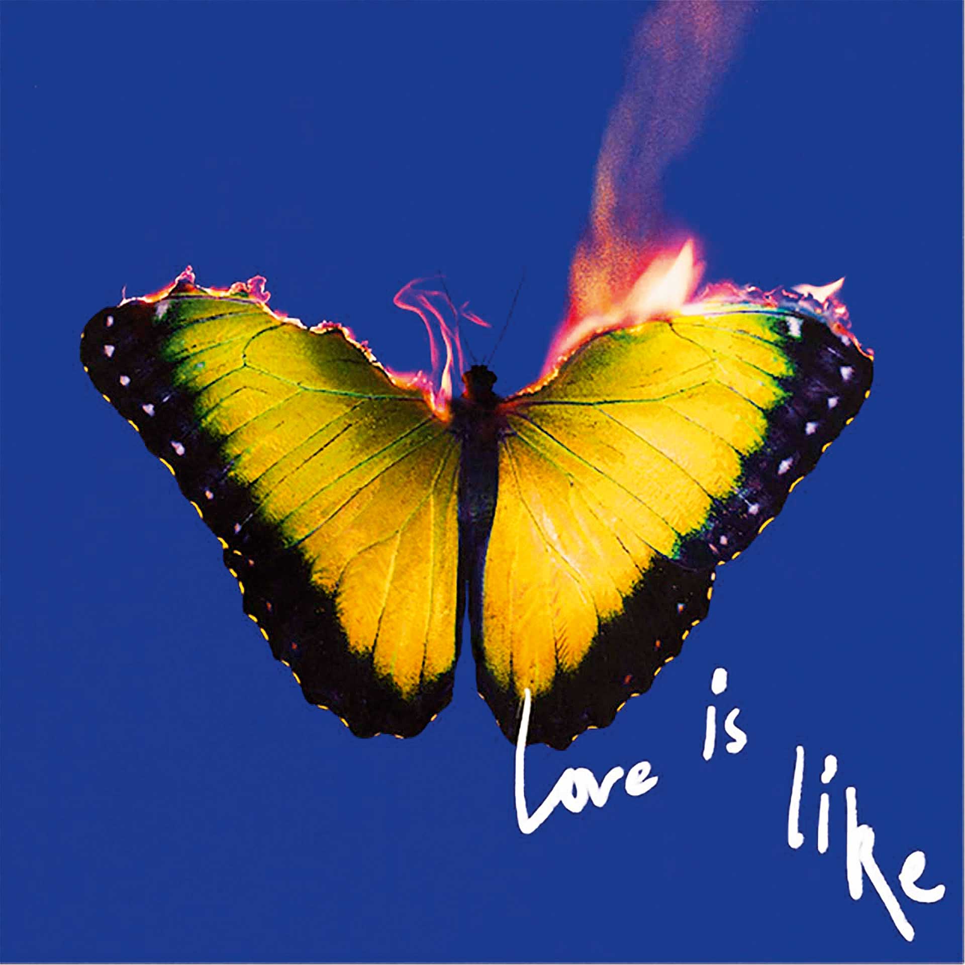 6 τραγούδια για όσους περνούν τον Αύγουστο στην Αθήνα-1