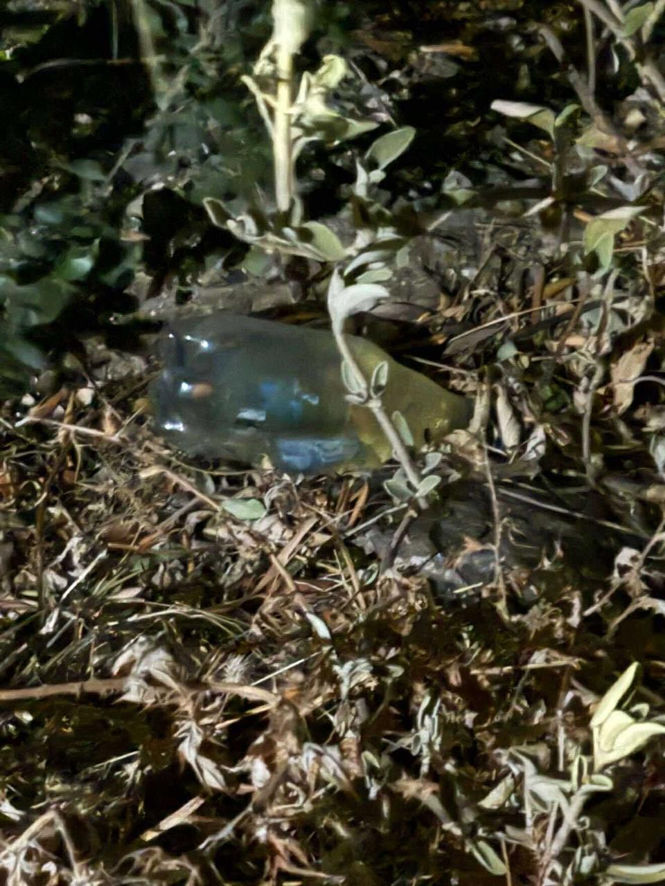 Πάτρα: Φωτογραφίες-ντοκουμέντο των τριών συλληφθέντων για εμπρησμό-4