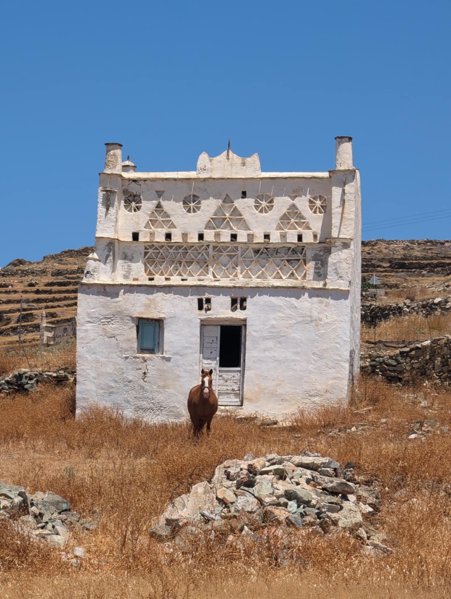 Τήνος: «Δίνουμε δεύτερη ζωή στους περιστεριώνες»-1