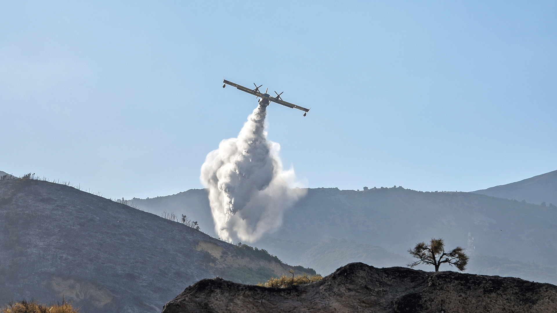σε-εξέλιξη-η-φωτιά-στο-αχλάδι-τυρνάβου-563769928