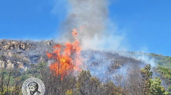φωτιά-στο-λεοντάρι-αρκαδίας-στη-μάχη-563757631