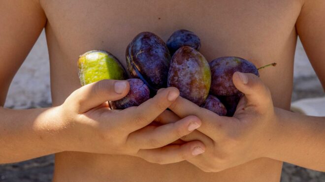 το-γλυκόξινο-φρούτο-με-την-ισχυρή-αντι-563784574