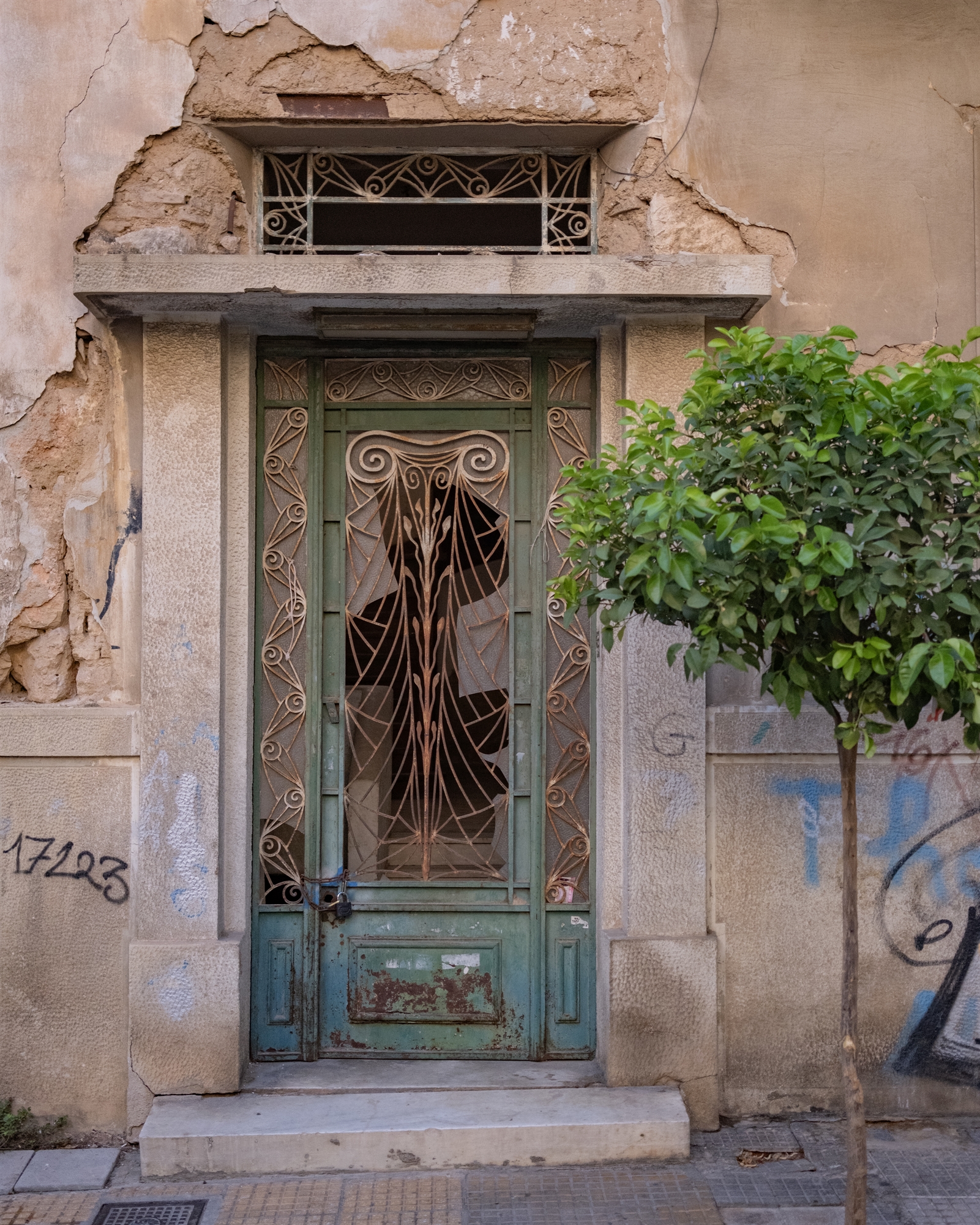 Νεράντζι, ψωμί, μούχλα-1