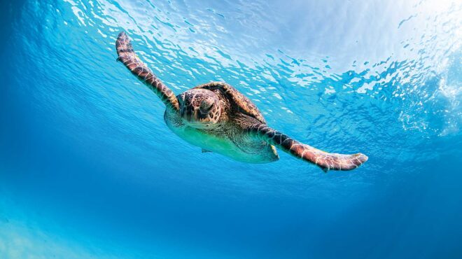 γιατί-δεν-πρέπει-ποτέ-να-πειράζουμε-563764492