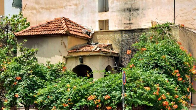 το-μικρό-σπίτι-της-οδού-αχρίδος-563774206