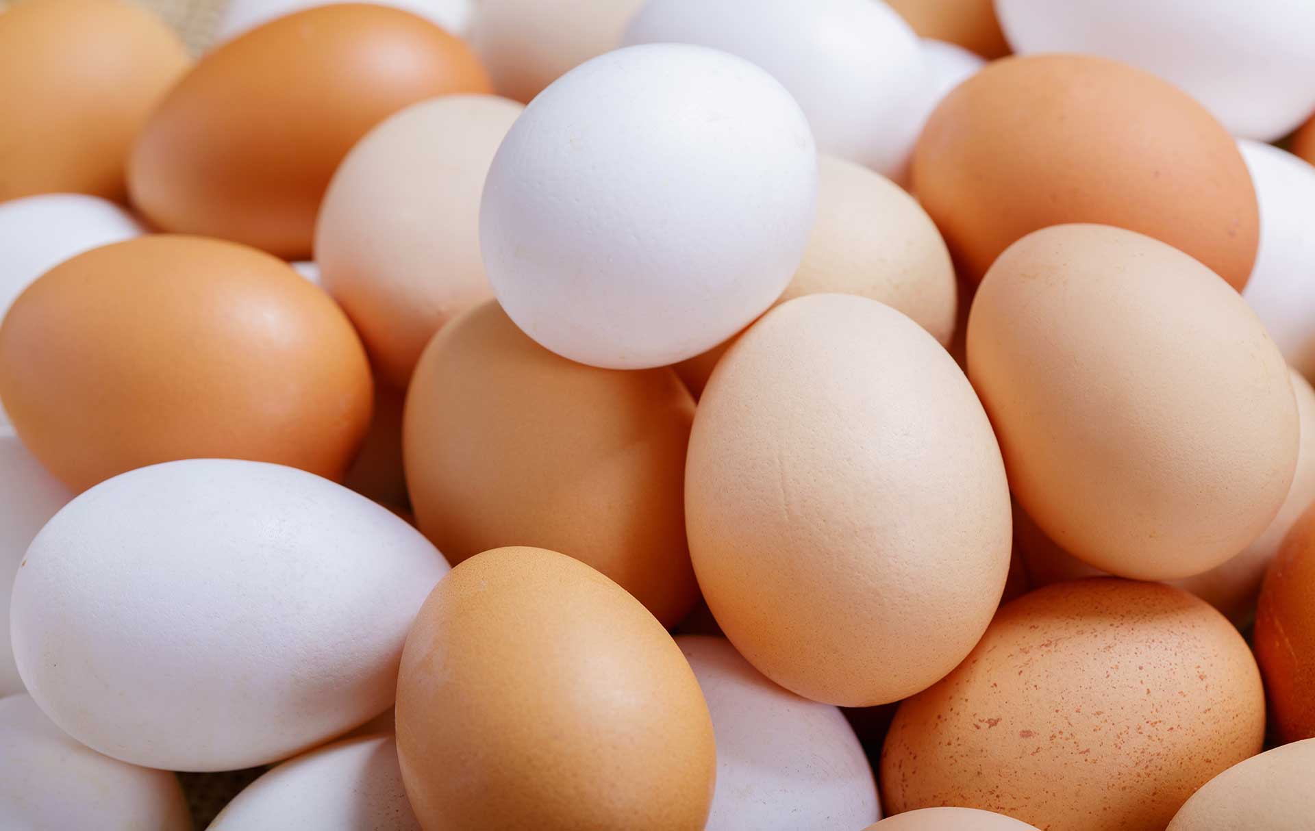 Σπάστε τη ρουτίνα του πρωινού σας-1